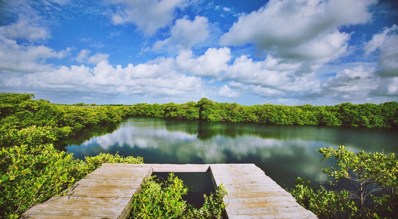 Hotel Nativus Glamping & Cenote Tulum Exterior foto