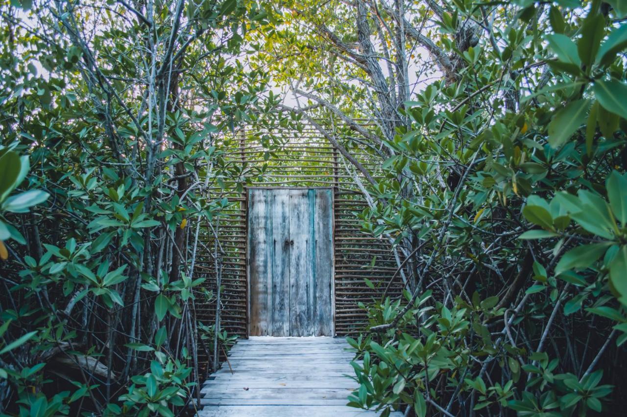 Hotel Nativus Glamping & Cenote Tulum Exterior foto